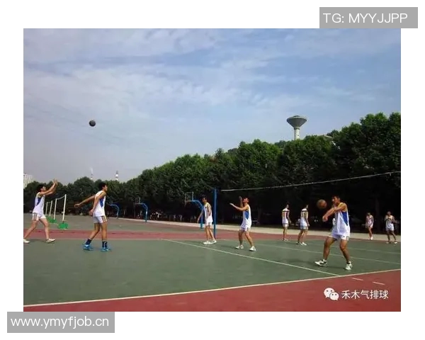 广州排球队个人能力深度对比与战术影响分析