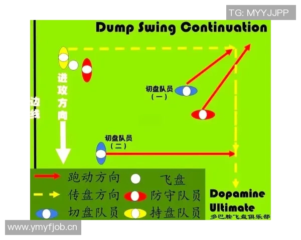 重庆飞盘队战术解析与实战应用的深度探讨与思考