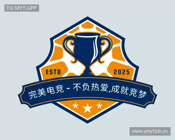 认识完美电竞